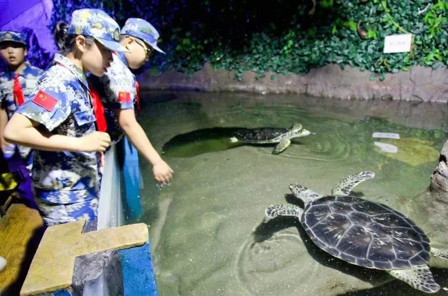 蓝海行动重磅出击，海洋之旅欢乐来袭，让我们暑期快乐相聚！