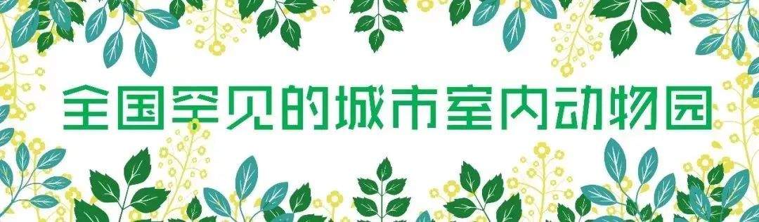 【小天使亲子团】49元限时限量抢么么动物园门票！更有超值268元亲子暑期卡，可爱的小动物与你一同过暑假！