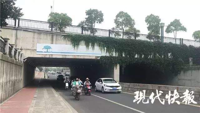 辣眼睛！5名男子深夜街头裸奔，画面不忍直视！网友怒了…