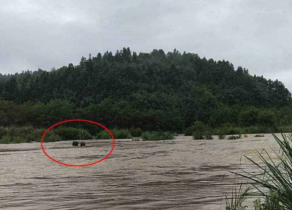 暴雨如注！风雨中，铅山稼轩有一个美丽的警民救援故事…