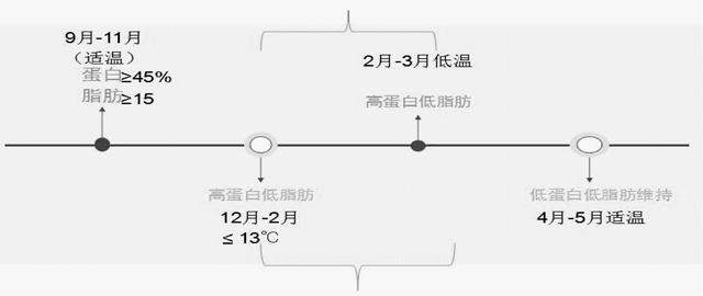 龙纹斑苗种规模化繁育技术