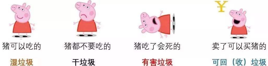 垃圾分类来了，我能做点什么？