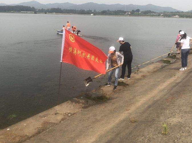 环境整治齐动手，乡村颜值新提升......