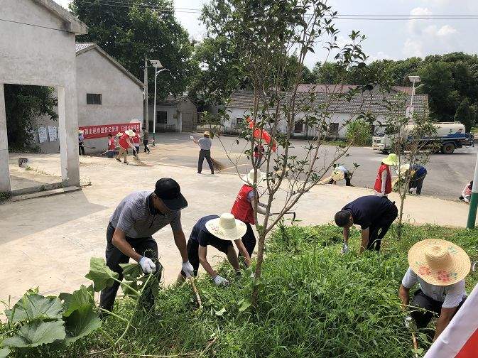 环境整治齐动手，乡村颜值新提升......