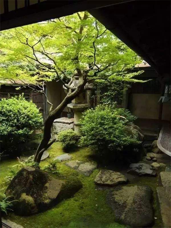 100例 · 醉美庭院