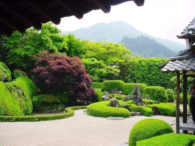 100例 · 醉美庭院