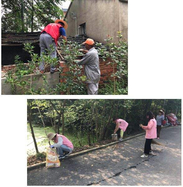 环境整治齐动手，乡村颜值新提升......