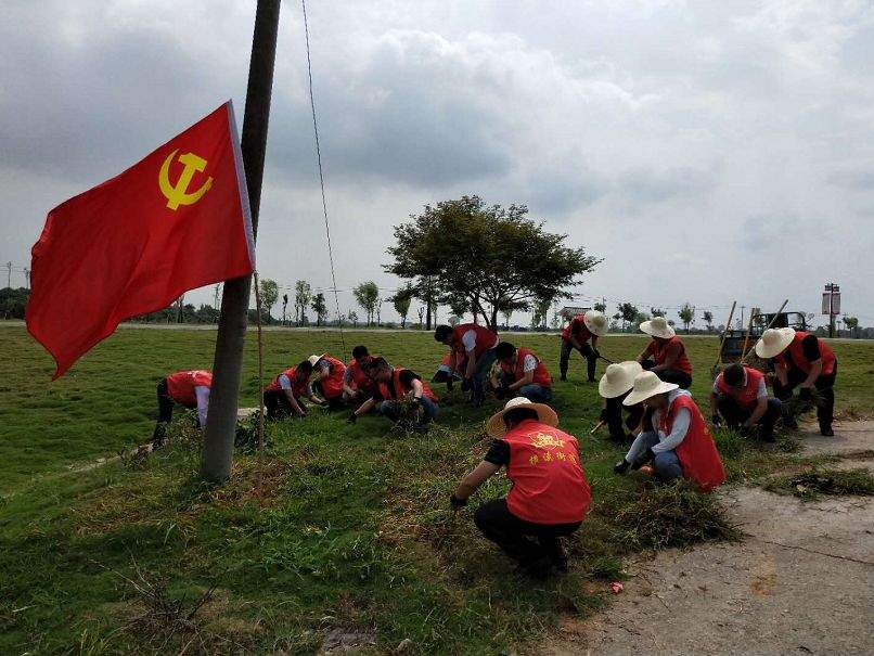 环境整治齐动手，乡村颜值新提升......