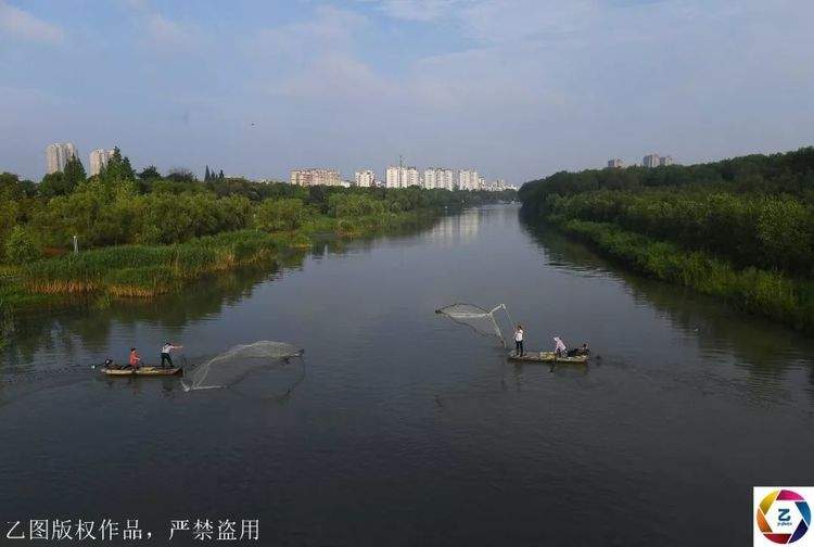 一座漂浮在水上的小城，还有十几万亩荷花和绝美水上森林，等你来