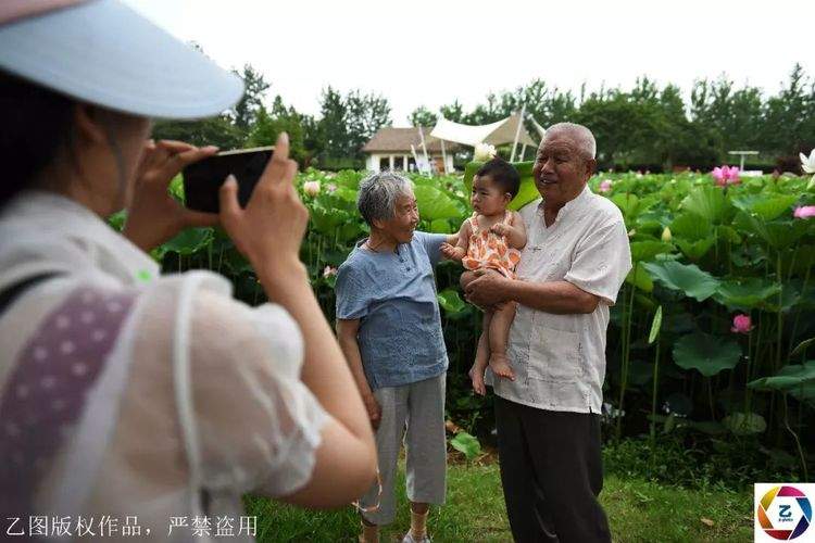 一座漂浮在水上的小城，还有十几万亩荷花和绝美水上森林，等你来