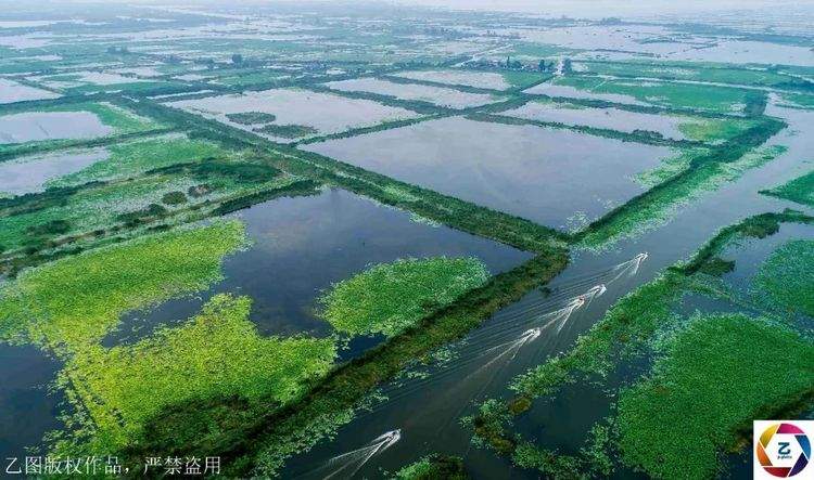 一座漂浮在水上的小城，还有十几万亩荷花和绝美水上森林，等你来