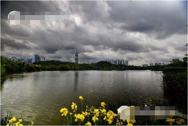 雨雨雨！贵州又将迎来大雨天气，多地发布暴雨预警！