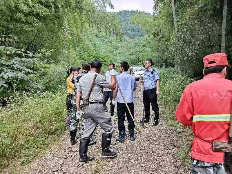 衢州某村民上山采粽叶，天黑了，人却不见踪影...