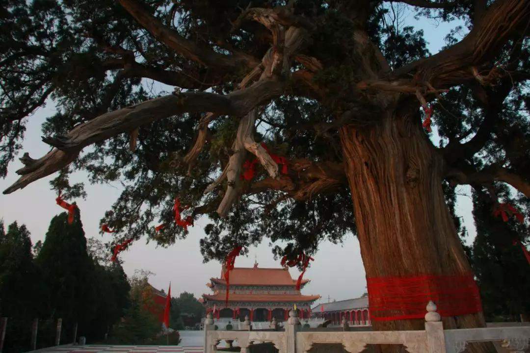 观景黄河 品味山西 | 大禹渡黄河风景区