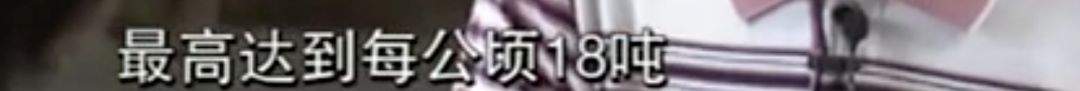 即将90岁的袁隆平，接受采访再谈“两个梦想”！