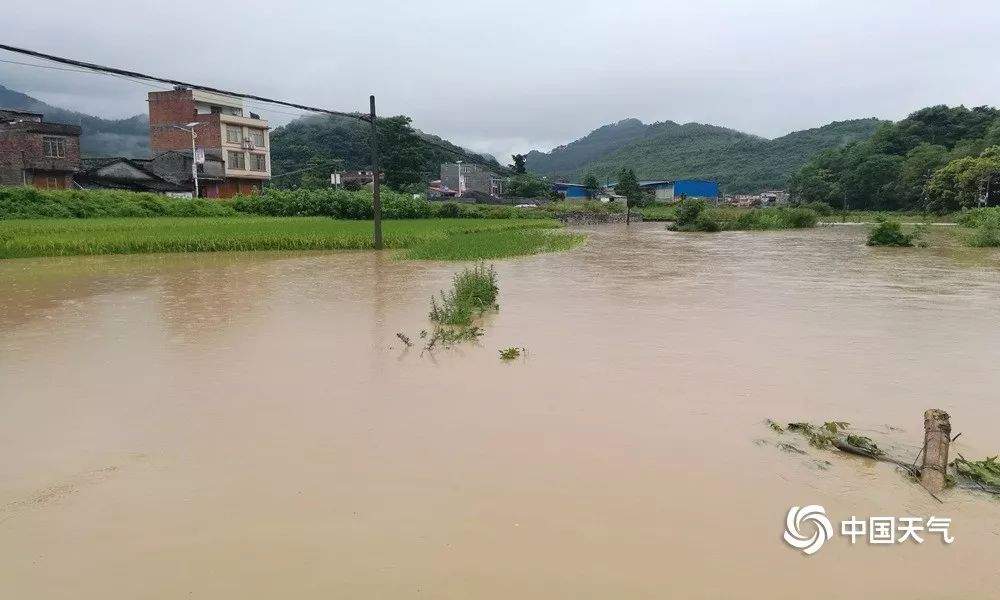 龙卷风、暴雨、冰雹来袭，多地受灾严重！这个夏天真愁人