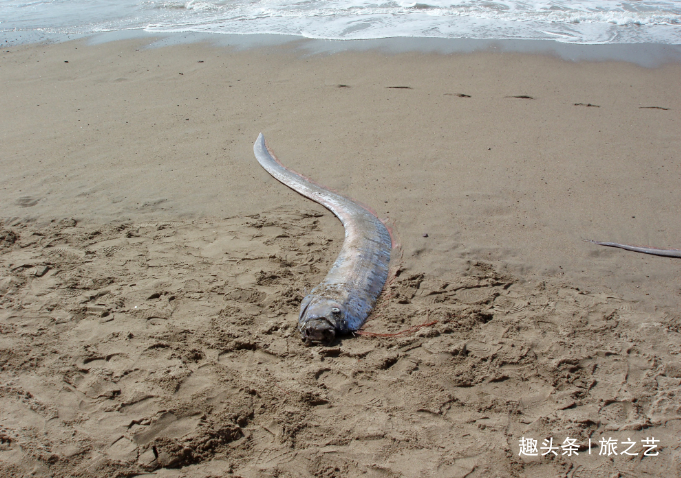 世界最独特的沙漠，湖泊遍地鱼虾成群，降雨量是撒哈拉的300倍