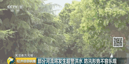 暴雨预警！这些河流将发生超警洪水！