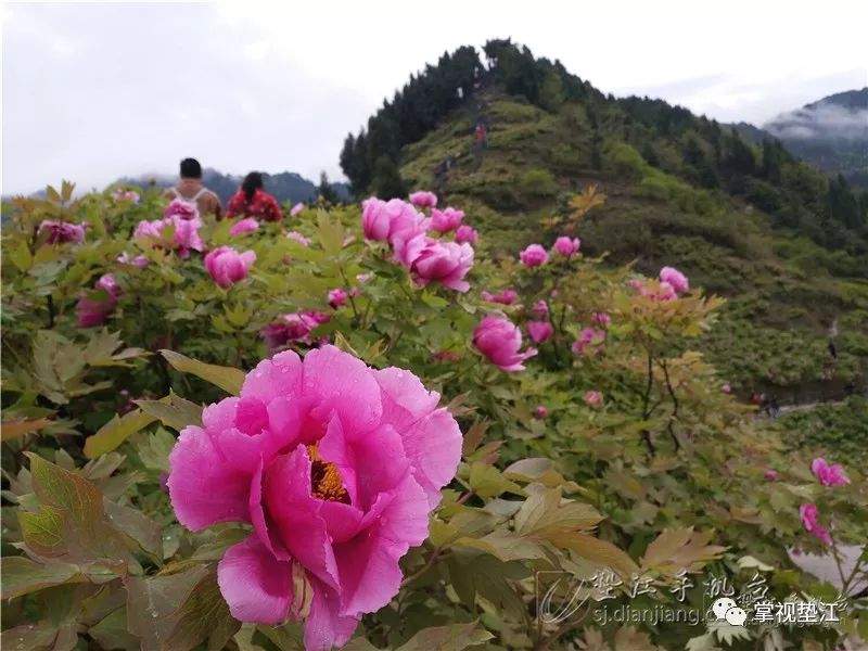 喜讯！恺之峰旅游区上榜2019重庆文旅新地标