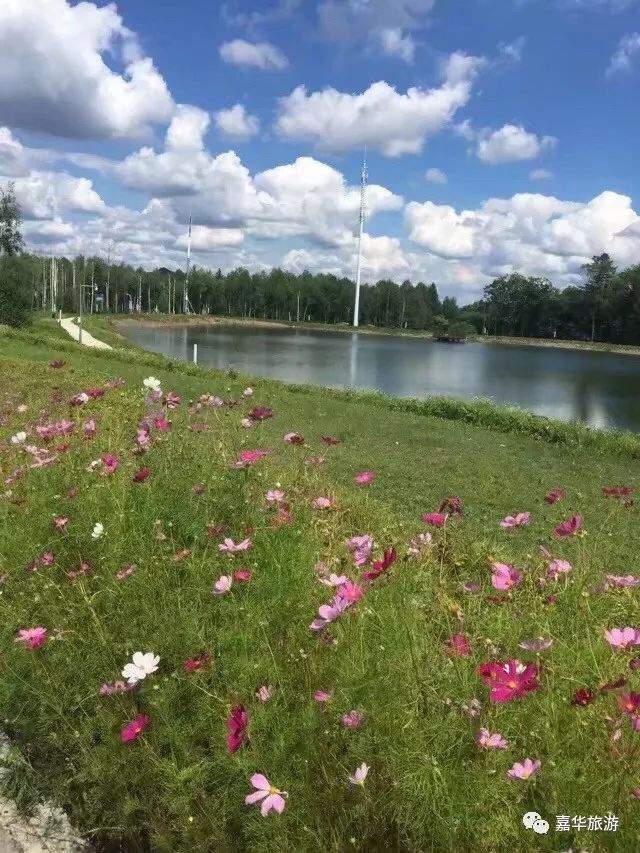 全家老少夏日避暑度假全攻略! 在长白山邂逅22℃清凉"小瑞士"……