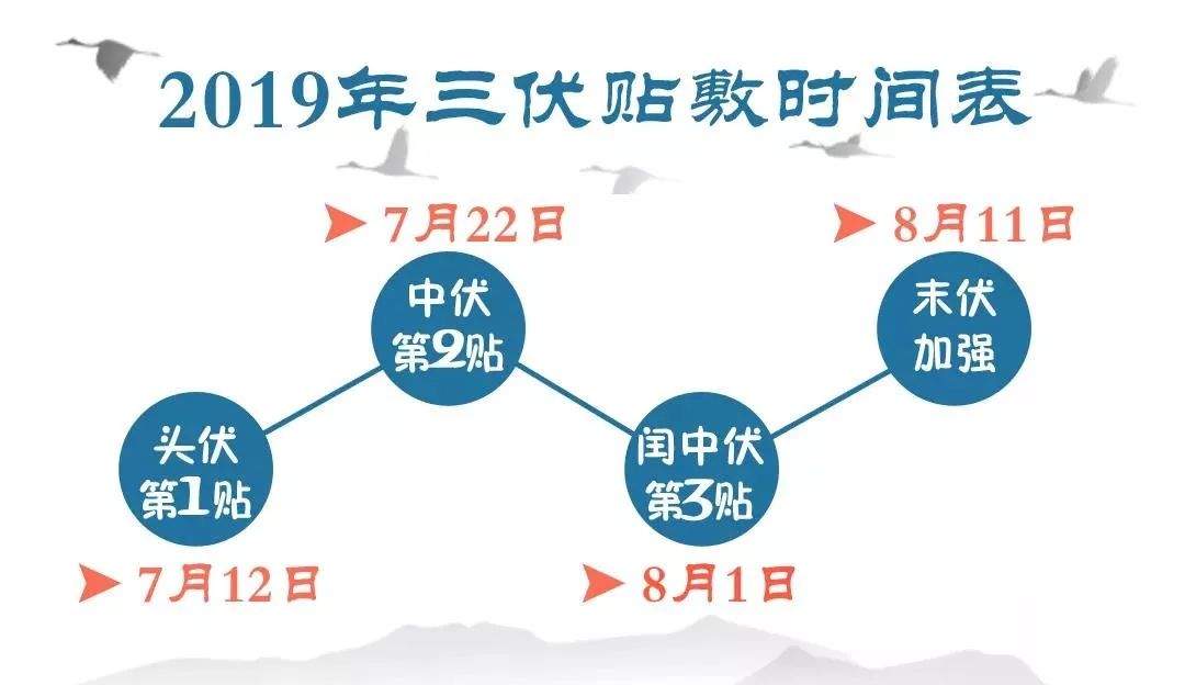 三伏天来了！定西市人民医院“三伏贴、三伏灸”开始啦... ...