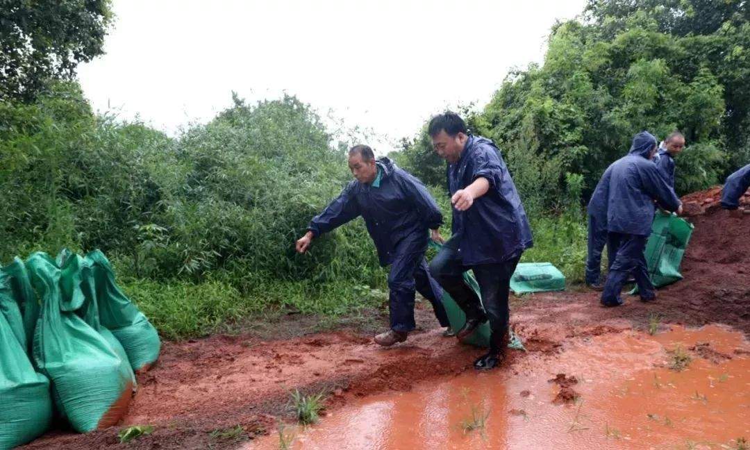 张鸿星市长深入东乡、东临新区、临川、金溪指导防汛救灾，直至凌晨...