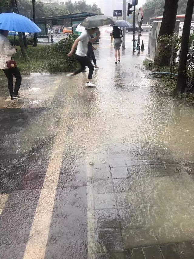 成都今年首个暴雨黄色预警！未来6小时继续下，今天你迟到了吗……