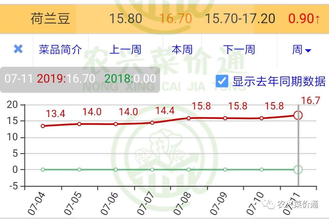 2019年7月11日销售市场行情