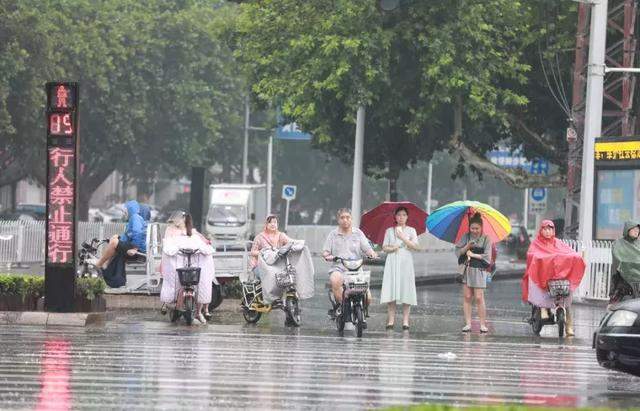 痛心！邯郸一老人风雨中疑被电死…