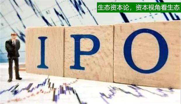 IPO造假警示录