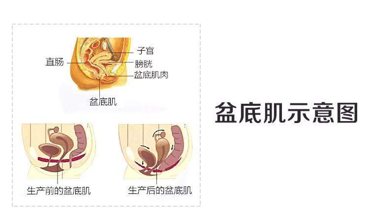 坐好月子是产后恢复的最基础，但这些身体部位恢复好才是重中之重！