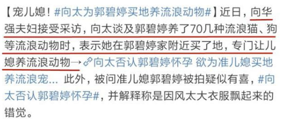 向太兑现为儿媳斥资买地承诺，婚后要求限制爱心泛滥，花式宠儿媳