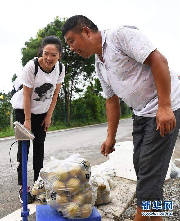 重庆巴南：梨产业助力山村蝶变