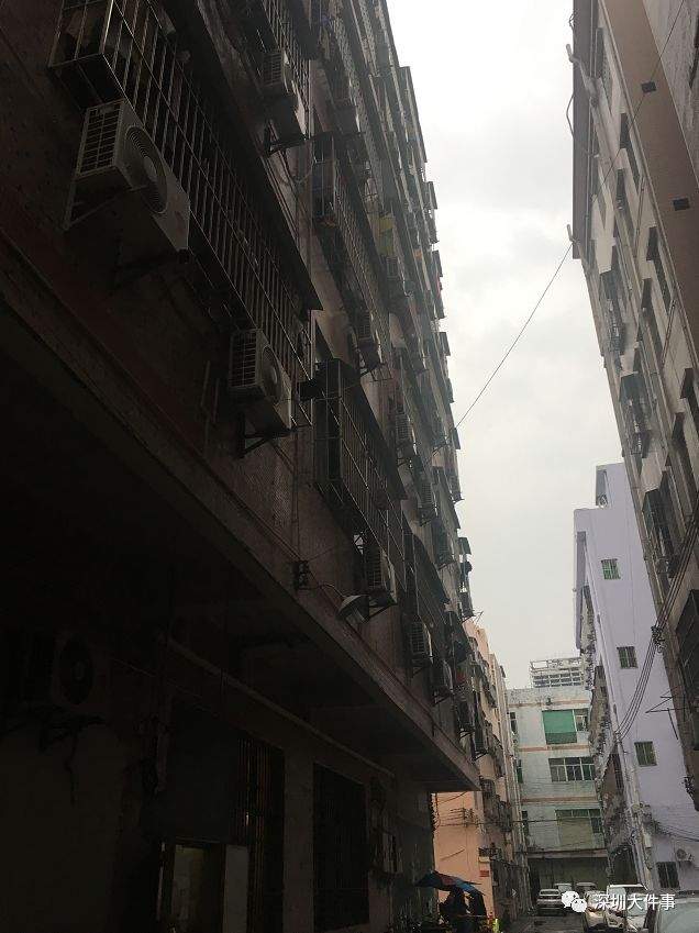 小区惊现“高空坠狗”砸烂车窗，主人：狗自己跳下去的