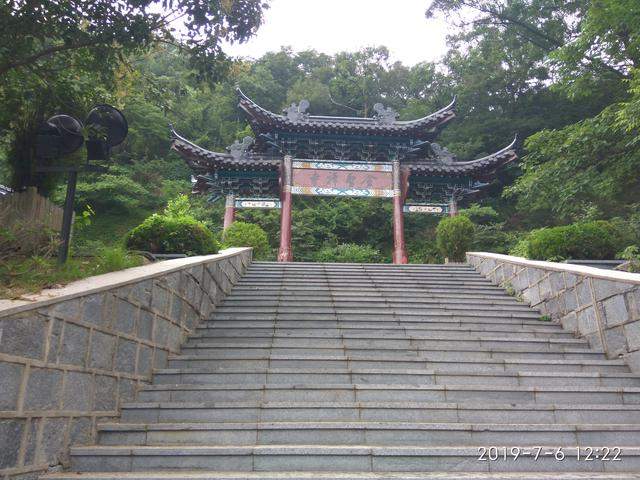 连云港连岛山顶上的一只蜥蜴样的小动物