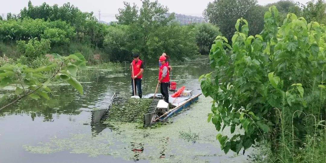 村级河道打捞作业难？新利器来啦！