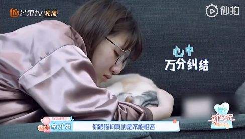 女星被妈妈强迫将猫送走：怀孕就不能养猫！