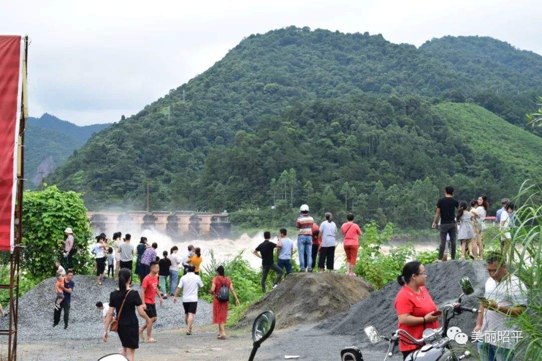 受强降雨影响，洪峰过境昭平桂江水位上涨，今年首次超警戒水位