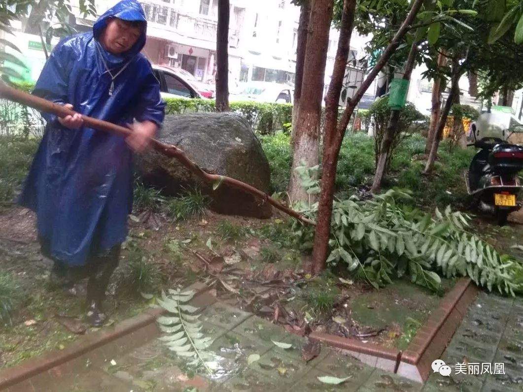 【凤凰·百日攻坚】暴雨来袭，防汛排涝进行时......