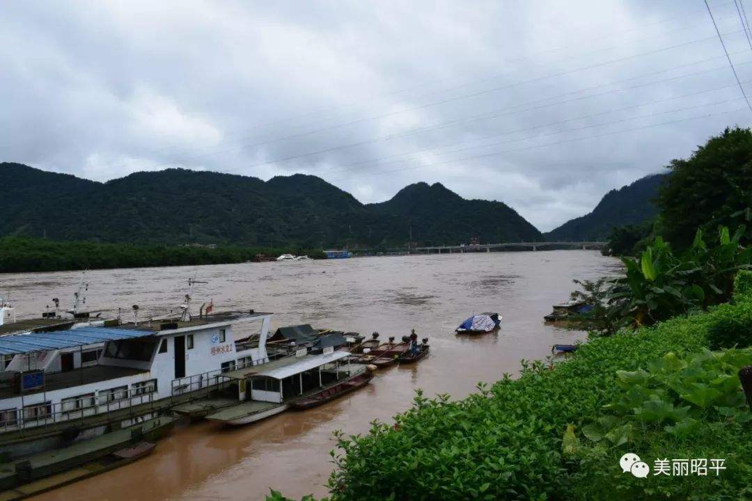 受强降雨影响，洪峰过境昭平桂江水位上涨，今年首次超警戒水位