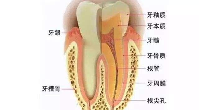 【健康】牙医“黑名单”上，这几种食物比糖还毁牙！