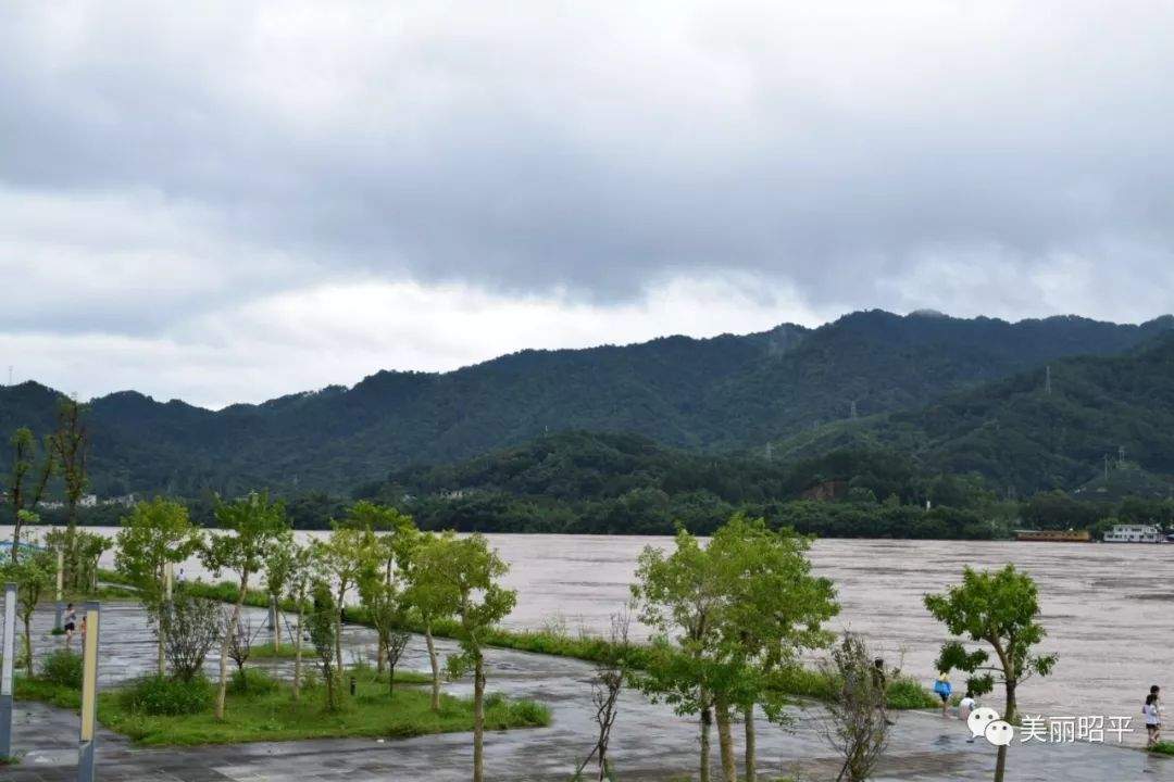 受强降雨影响，洪峰过境昭平桂江水位上涨，今年首次超警戒水位