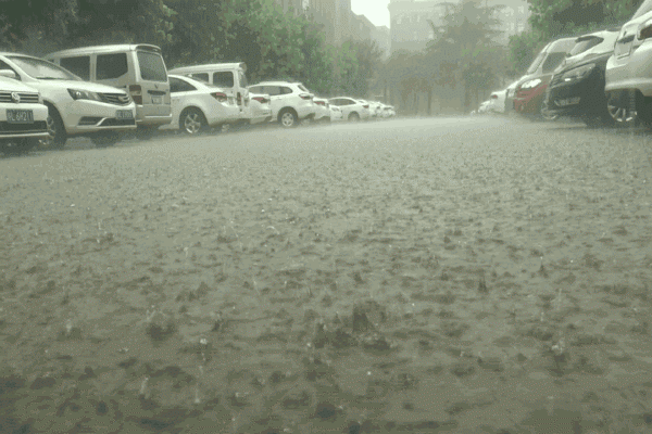 受强降雨影响，洪峰过境昭平桂江水位上涨，今年首次超警戒水位