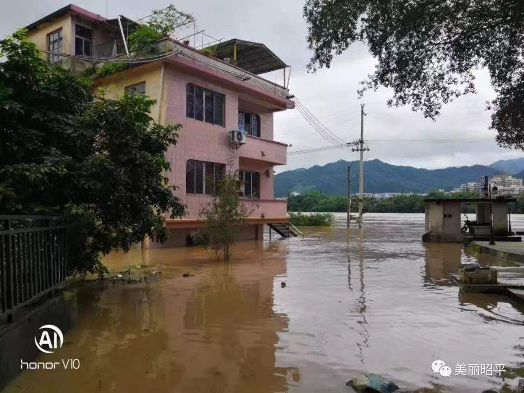 受强降雨影响，洪峰过境昭平桂江水位上涨，今年首次超警戒水位