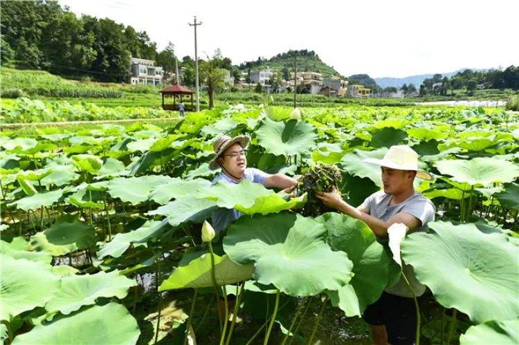 咱们村里的年轻人——记奋战在贵州脱贫攻坚一线的青年