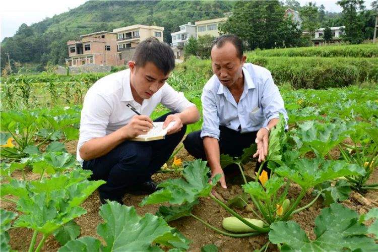 咱们村里的年轻人——记奋战在贵州脱贫攻坚一线的青年