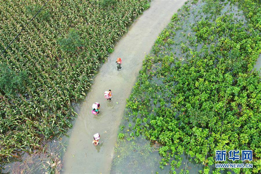 强降雨致广西36万人受灾