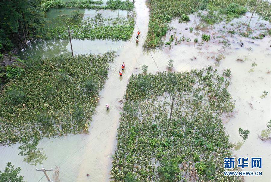 强降雨致广西36万人受灾