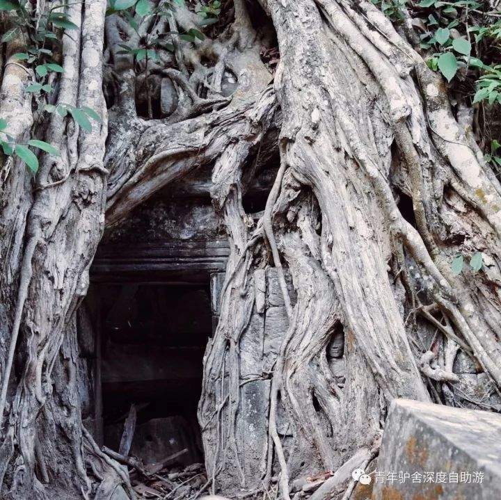 【旅行体验师日记】1000美金 越南-柬埔寨-老挝三国穿越日记（柬埔寨篇）