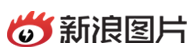 招聘｜新浪图片、环球网、河南商报、海口日报、人民在线、《华尔街日报》中文版